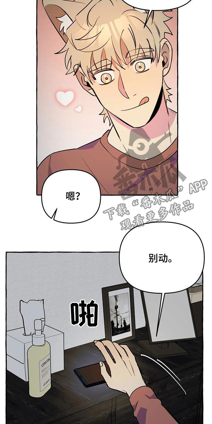 《忠犬三三》第28章不想让你累 第11页