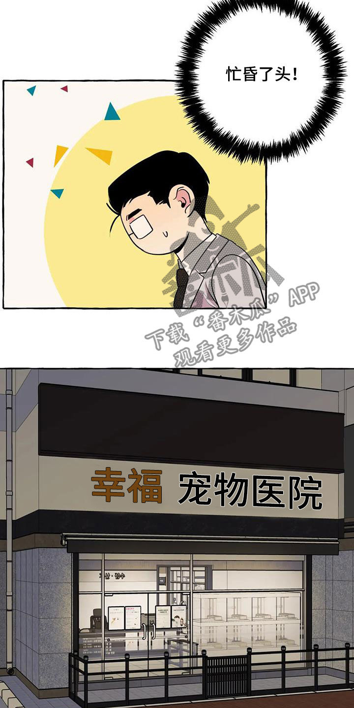 《忠犬三三》第33章失去联系 第15页