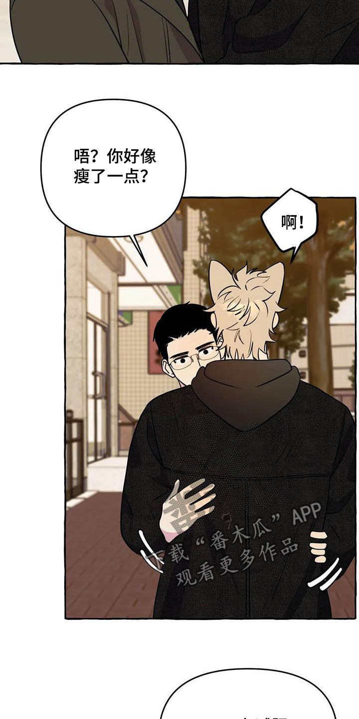 《忠犬三三》第36章见面 第11页