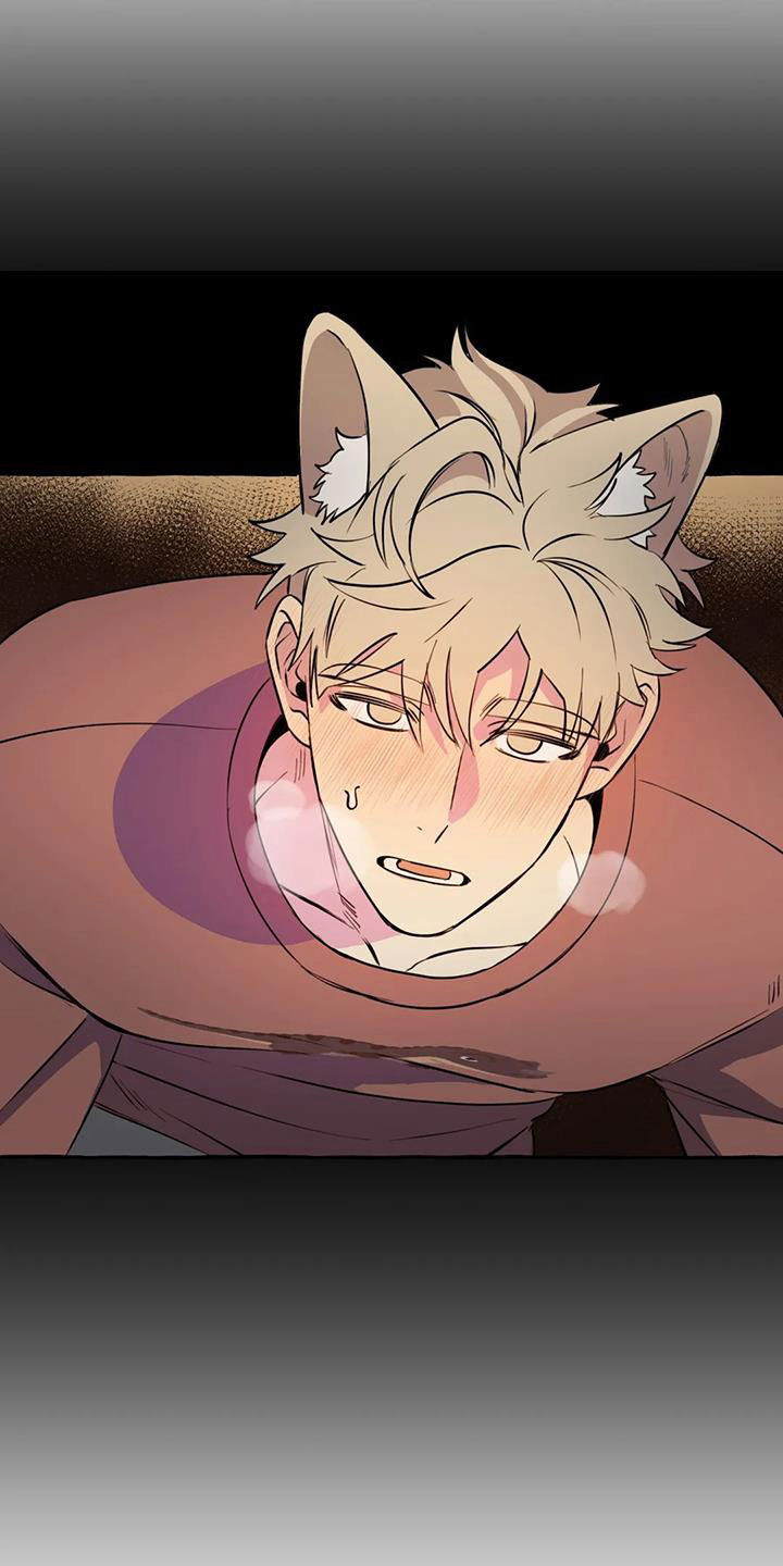 《忠犬三三》第34章思念 第17页