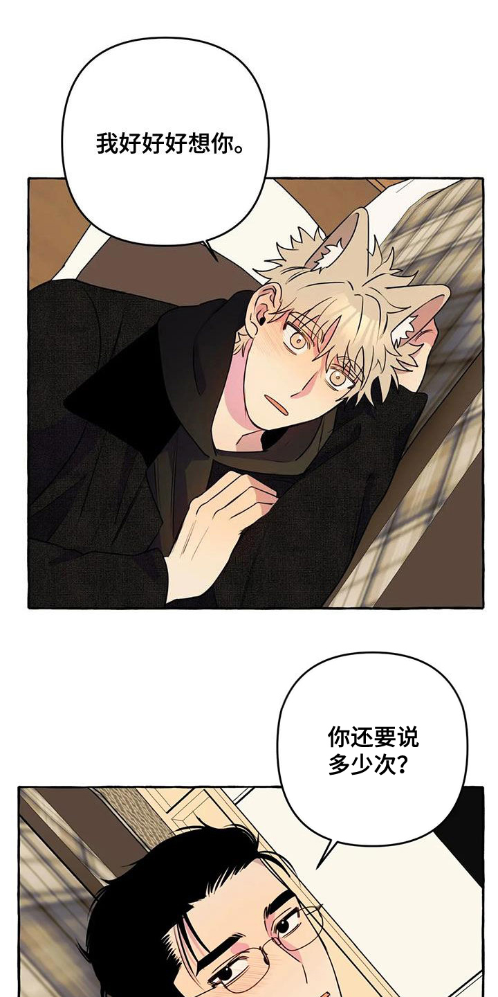《忠犬三三》第37章好想你 第13页