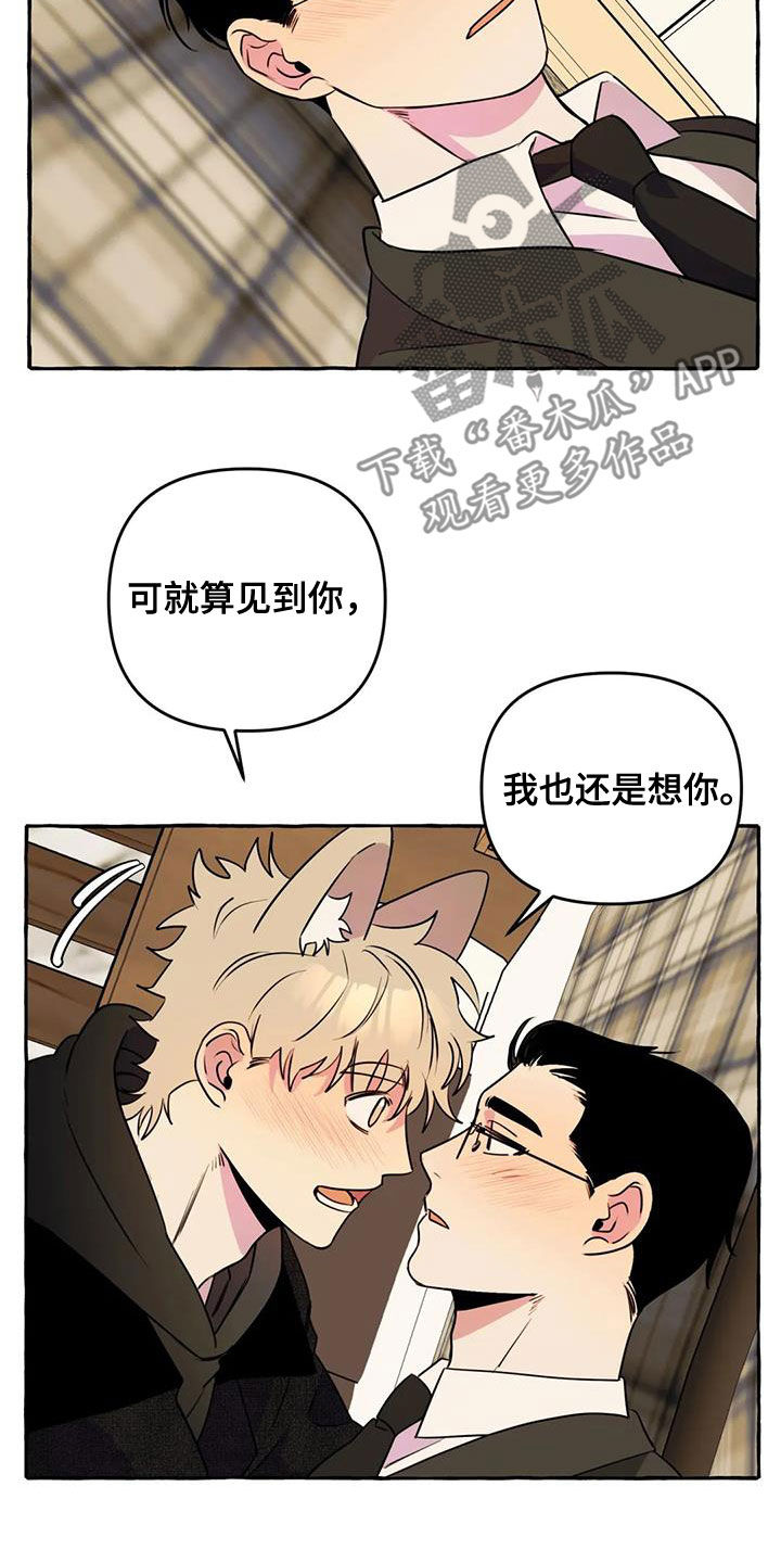 《忠犬三三》第37章好想你 第14页