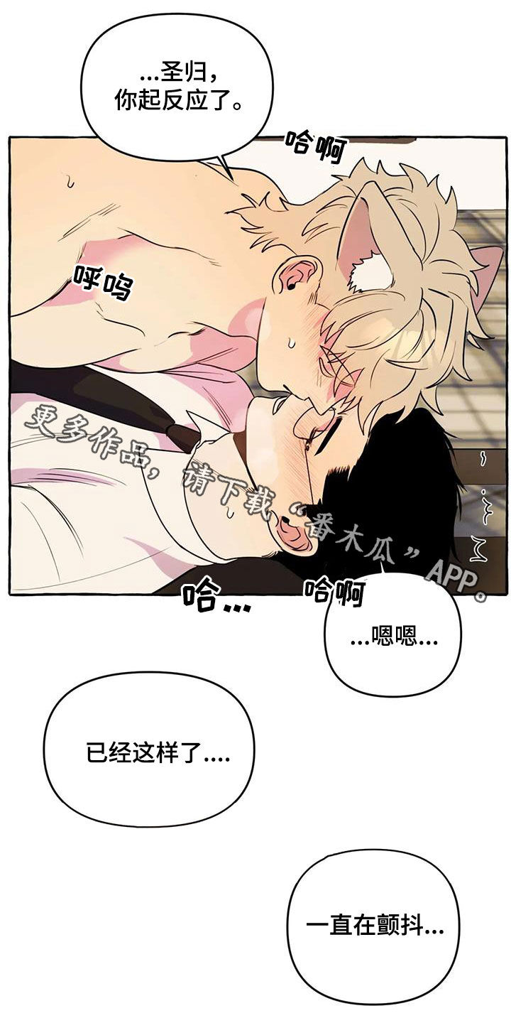 《忠犬三三》第37章好想你 第19页