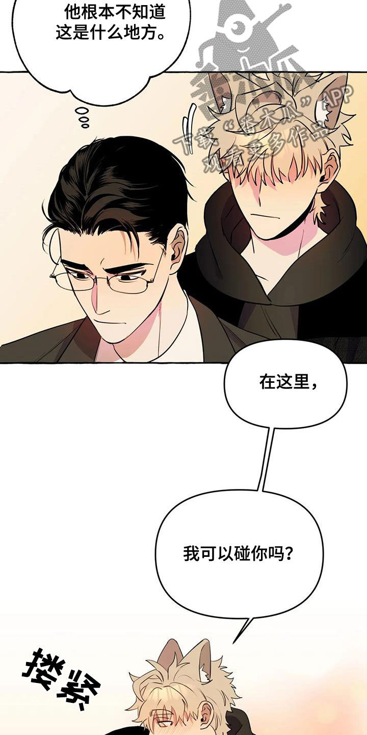 《忠犬三三》第37章好想你 第3页