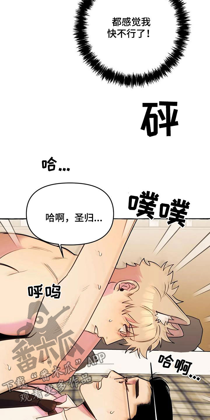《忠犬三三》第38章拜托 第12页