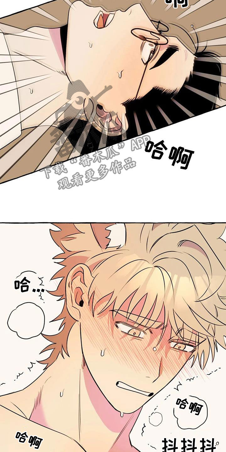 《忠犬三三》第38章拜托 第15页