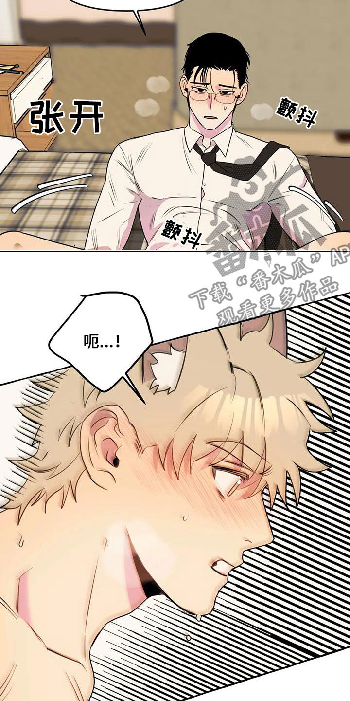 《忠犬三三》第38章拜托 第8页