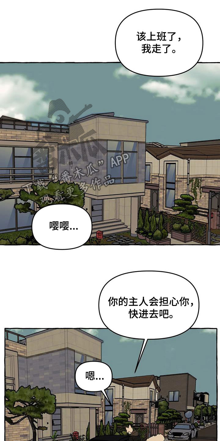 《忠犬三三》第39章抓痕 第12页