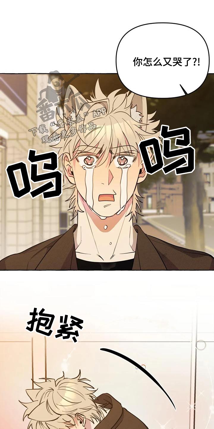 《忠犬三三》第45章【第二季】保护 第10页