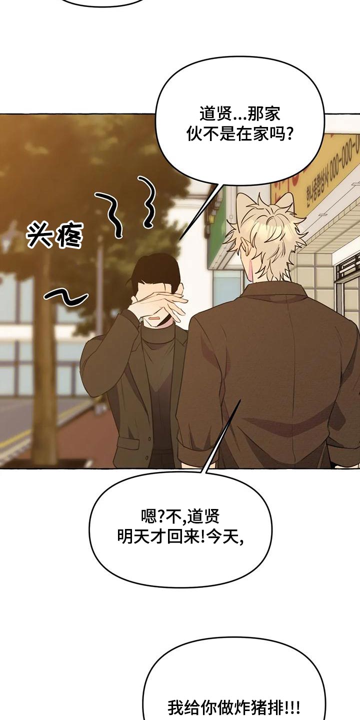 《忠犬三三》第45章【第二季】保护 第14页