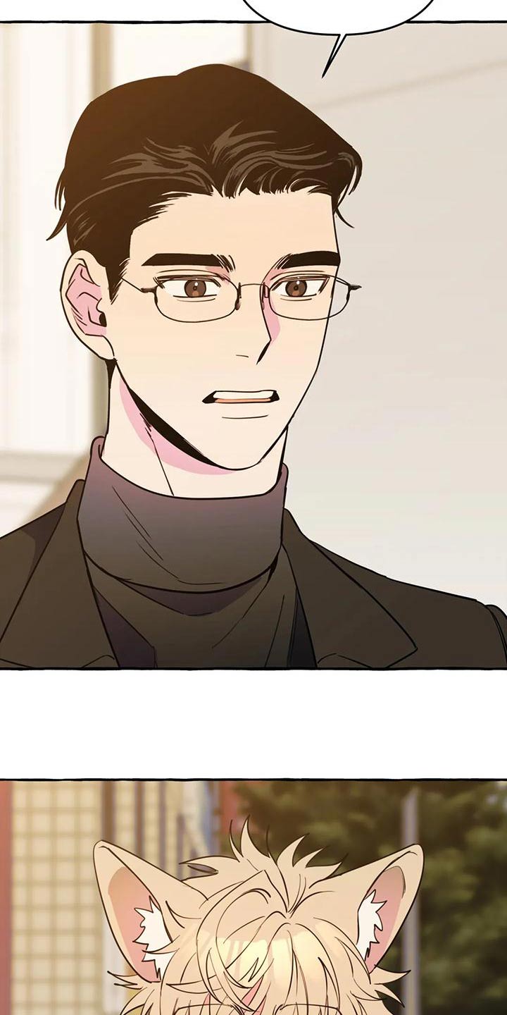 《忠犬三三》第45章【第二季】保护 第7页