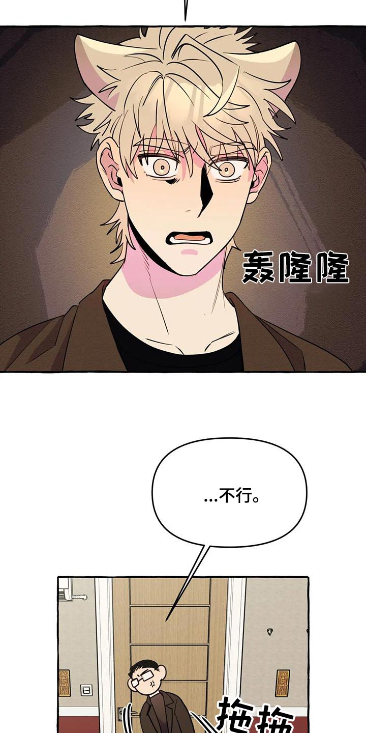 《忠犬三三》第44章【第二季】算命 第13页