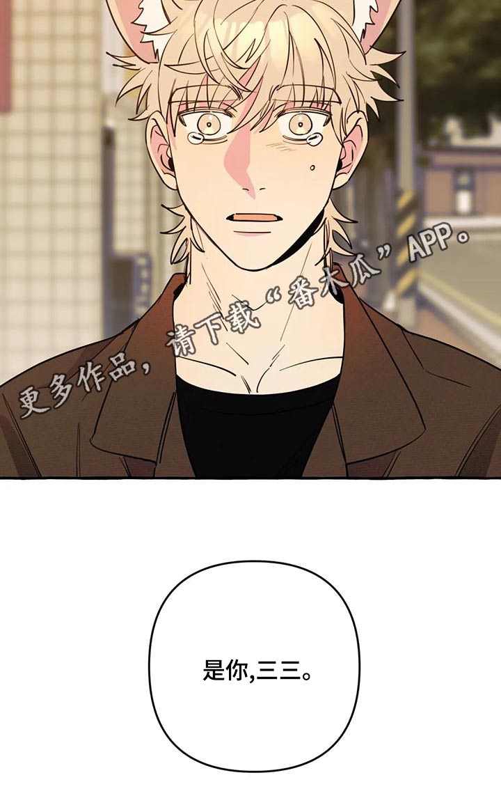 《忠犬三三》第44章【第二季】算命 第25页