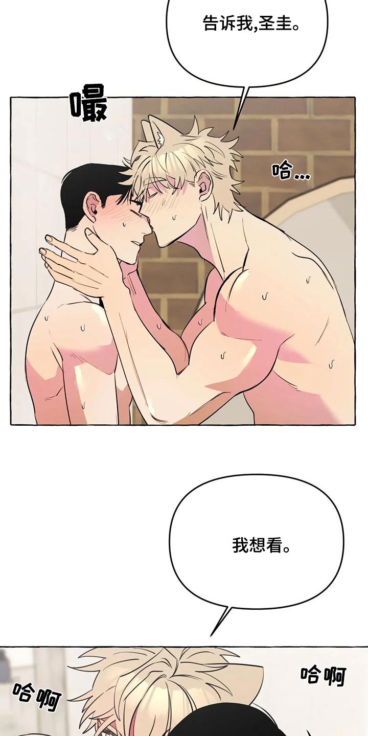 《忠犬三三》第47章【第二季】喜欢 第13页