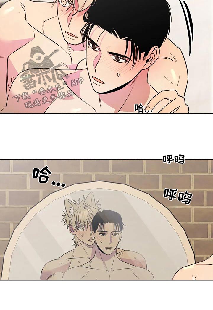 《忠犬三三》第47章【第二季】喜欢 第14页