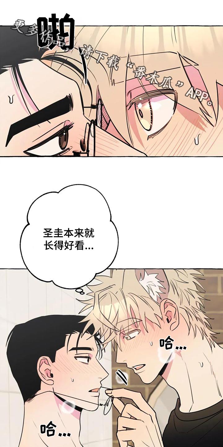 《忠犬三三》第47章【第二季】喜欢 第1页
