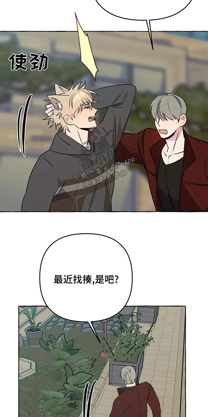 《忠犬三三》第49章【第二季】教训 第13页