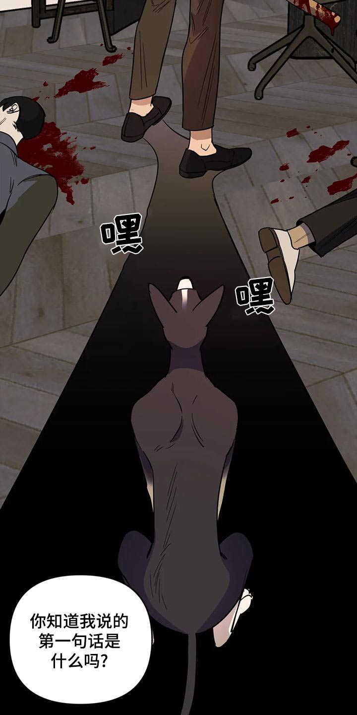 《忠犬三三》第50章【第二季】人生 第20页