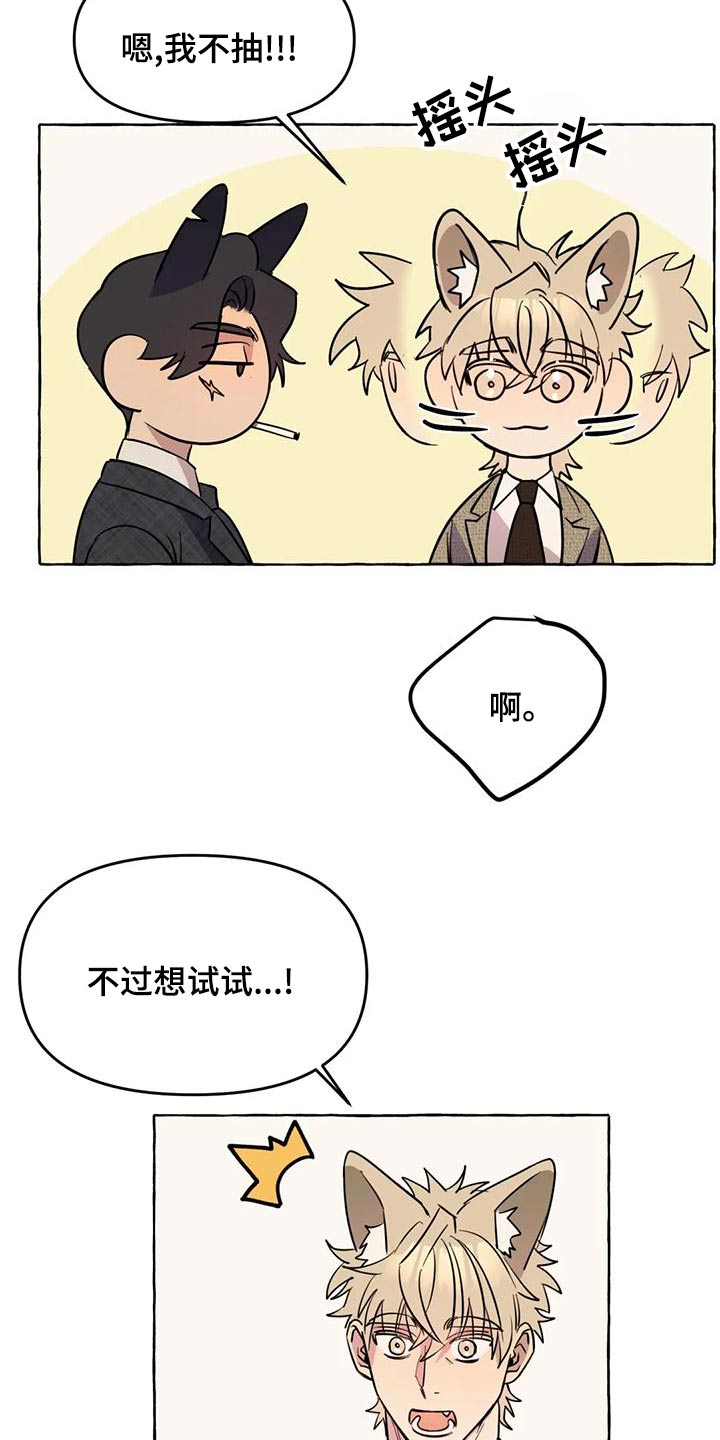 《忠犬三三》第50章【第二季】人生 第4页