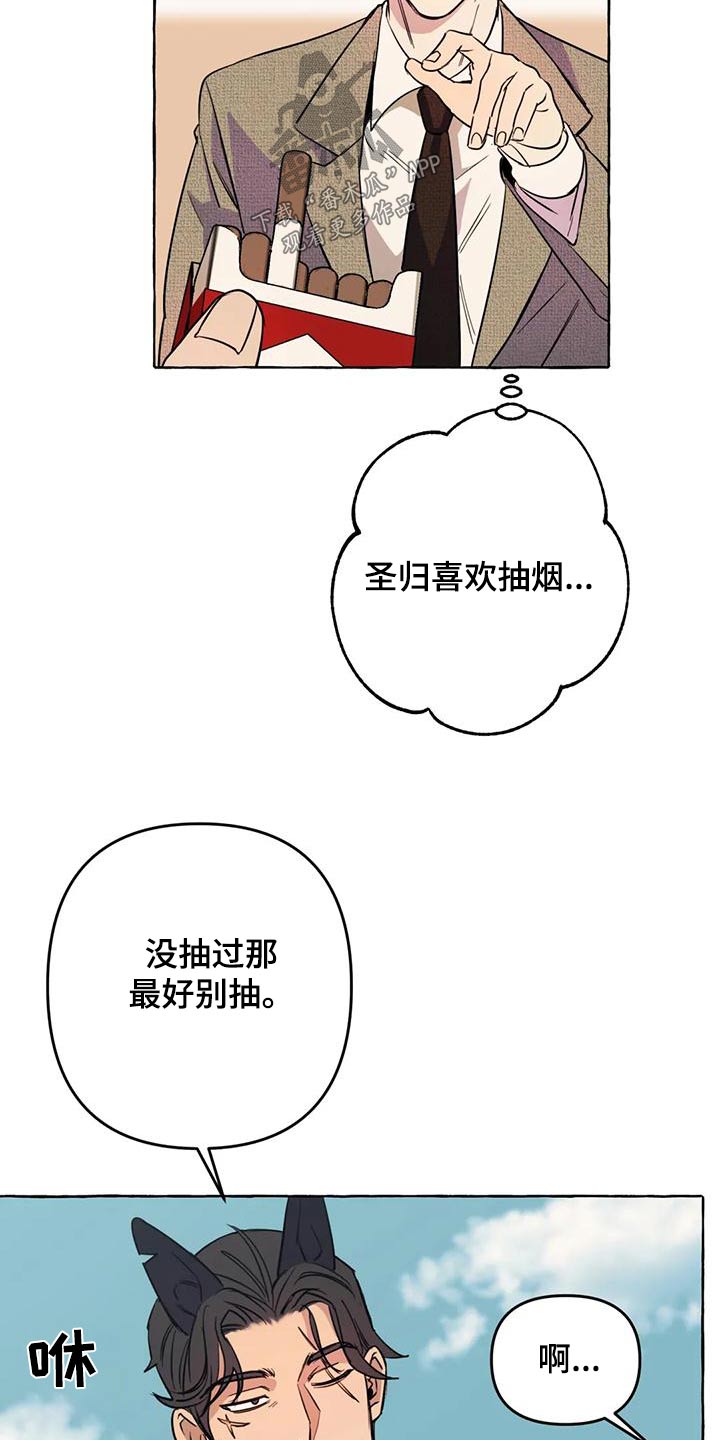 《忠犬三三》第50章【第二季】人生 第5页