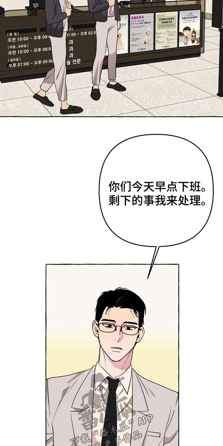 《忠犬三三》第53章【第二季】挑衅 第12页