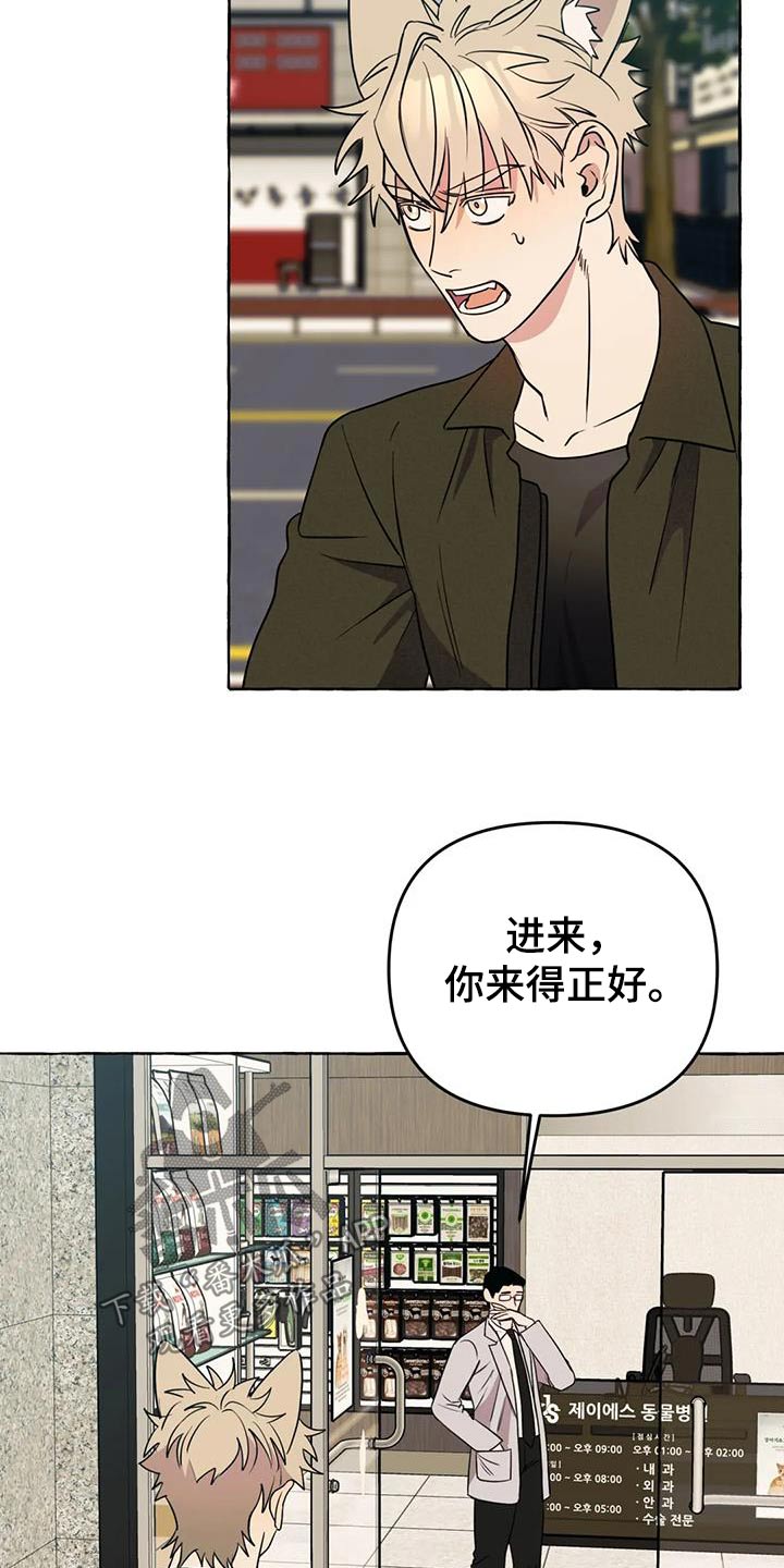 《忠犬三三》第53章【第二季】挑衅 第23页