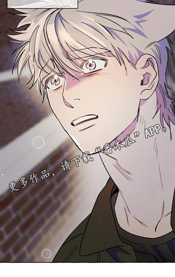 《忠犬三三》第55章【第二季】对不起 第26页