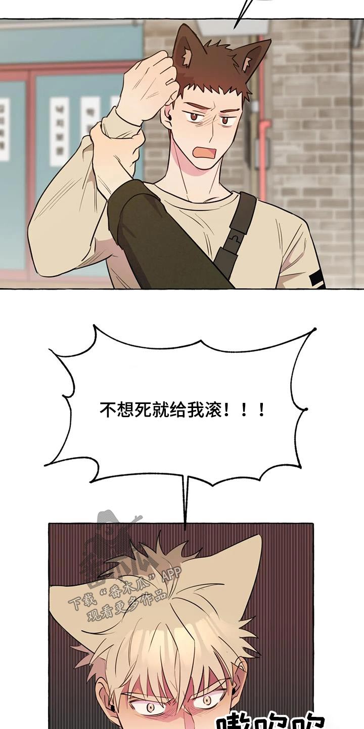 《忠犬三三》第55章【第二季】对不起 第2页