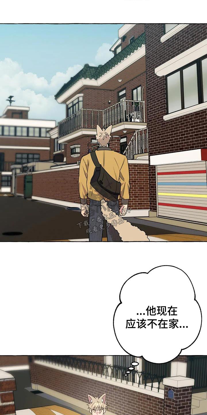 《忠犬三三》第57章【第二季】等待 第13页