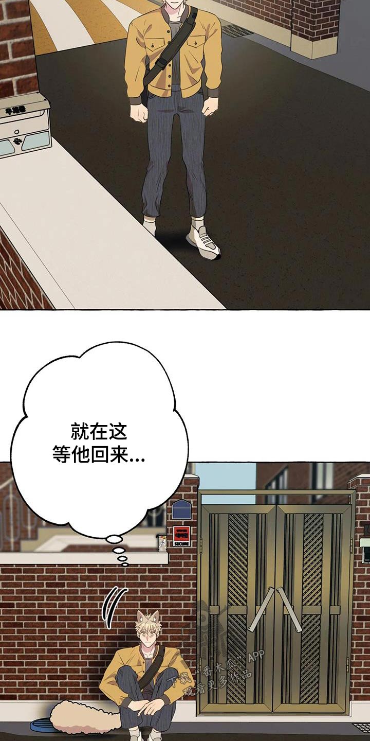 《忠犬三三》第57章【第二季】等待 第14页