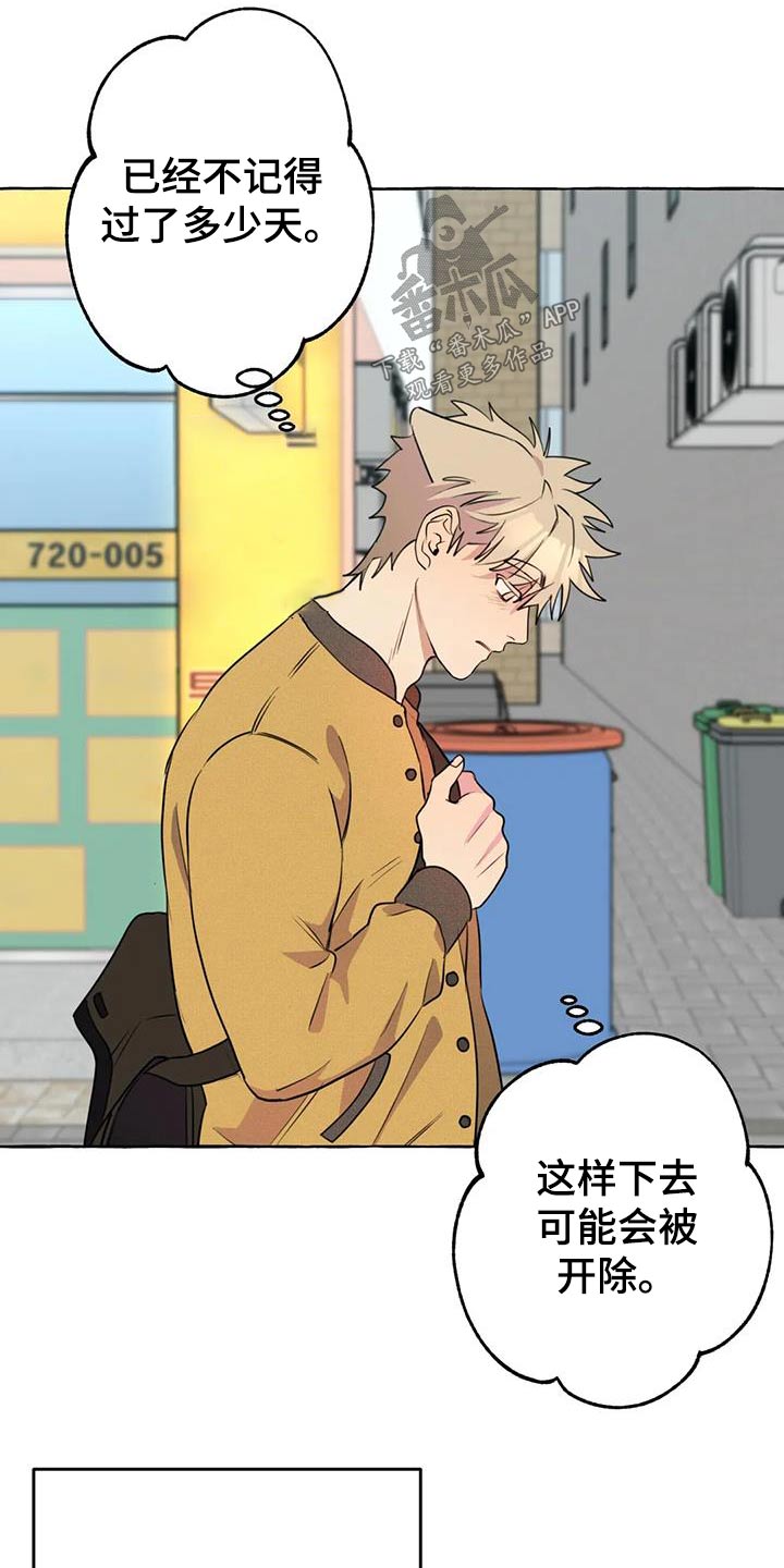 《忠犬三三》第57章【第二季】等待 第4页