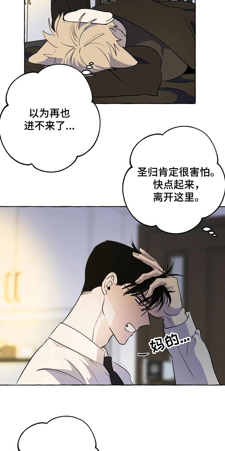 《忠犬三三》第60章【第二季】谢谢你 第3页