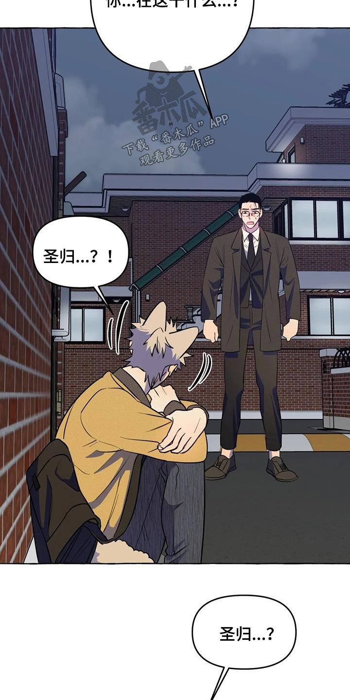 《忠犬三三》第58章【第二季】去哪里 第19页