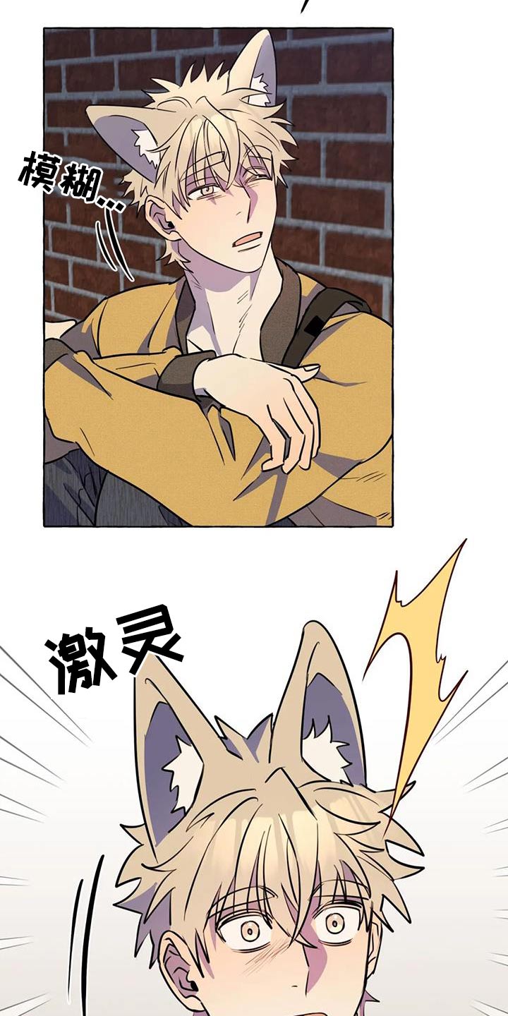 《忠犬三三》第58章【第二季】去哪里 第20页