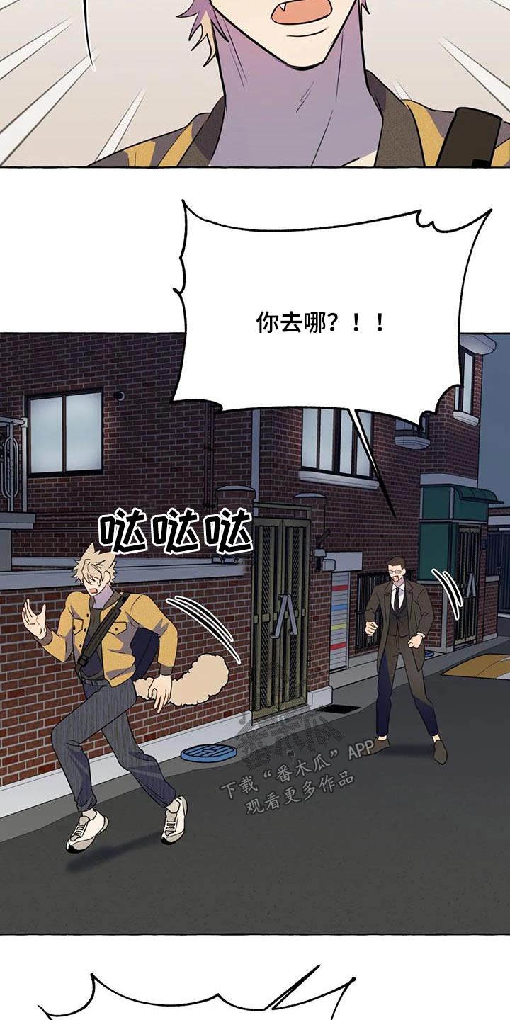 《忠犬三三》第58章【第二季】去哪里 第21页