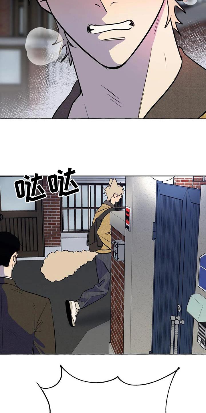 《忠犬三三》第58章【第二季】去哪里 第26页