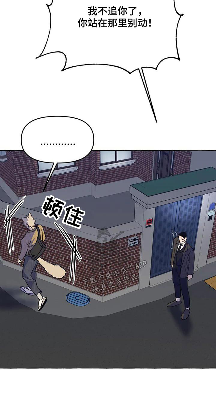 《忠犬三三》第58章【第二季】去哪里 第27页