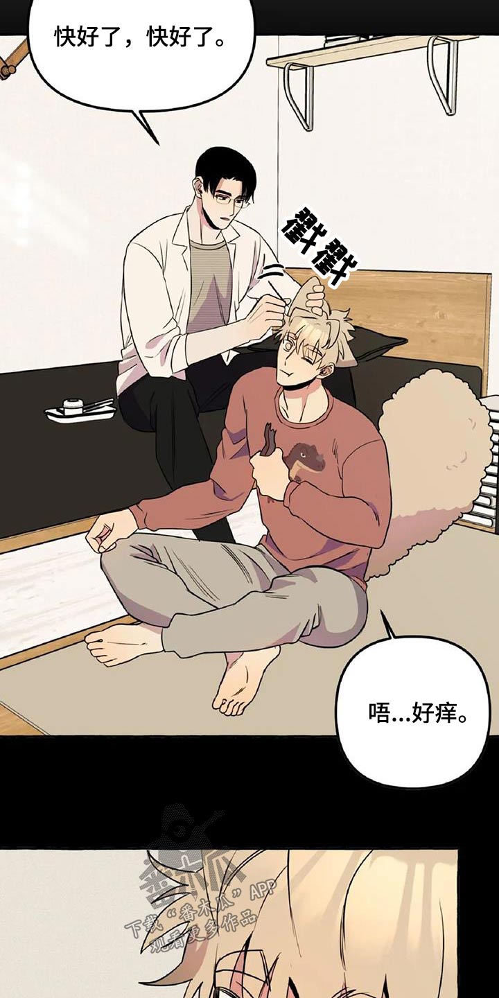 《忠犬三三》第59章【第二季】晕倒 第12页