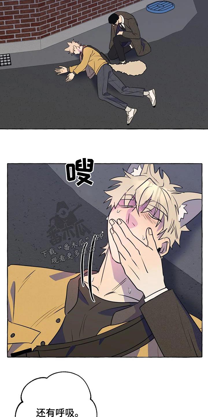 《忠犬三三》第59章【第二季】晕倒 第18页