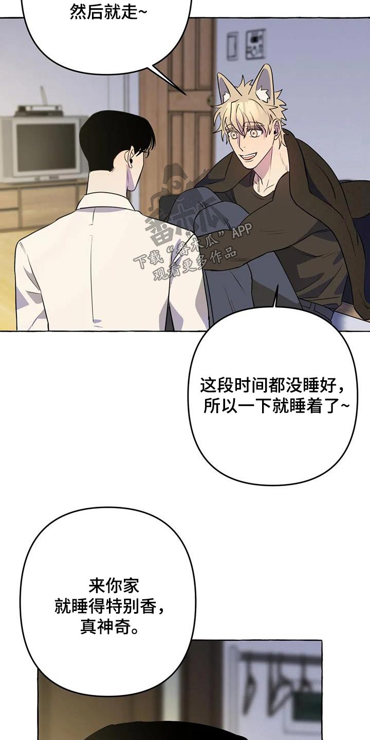 《忠犬三三》第61章【第二季】在一起 第3页
