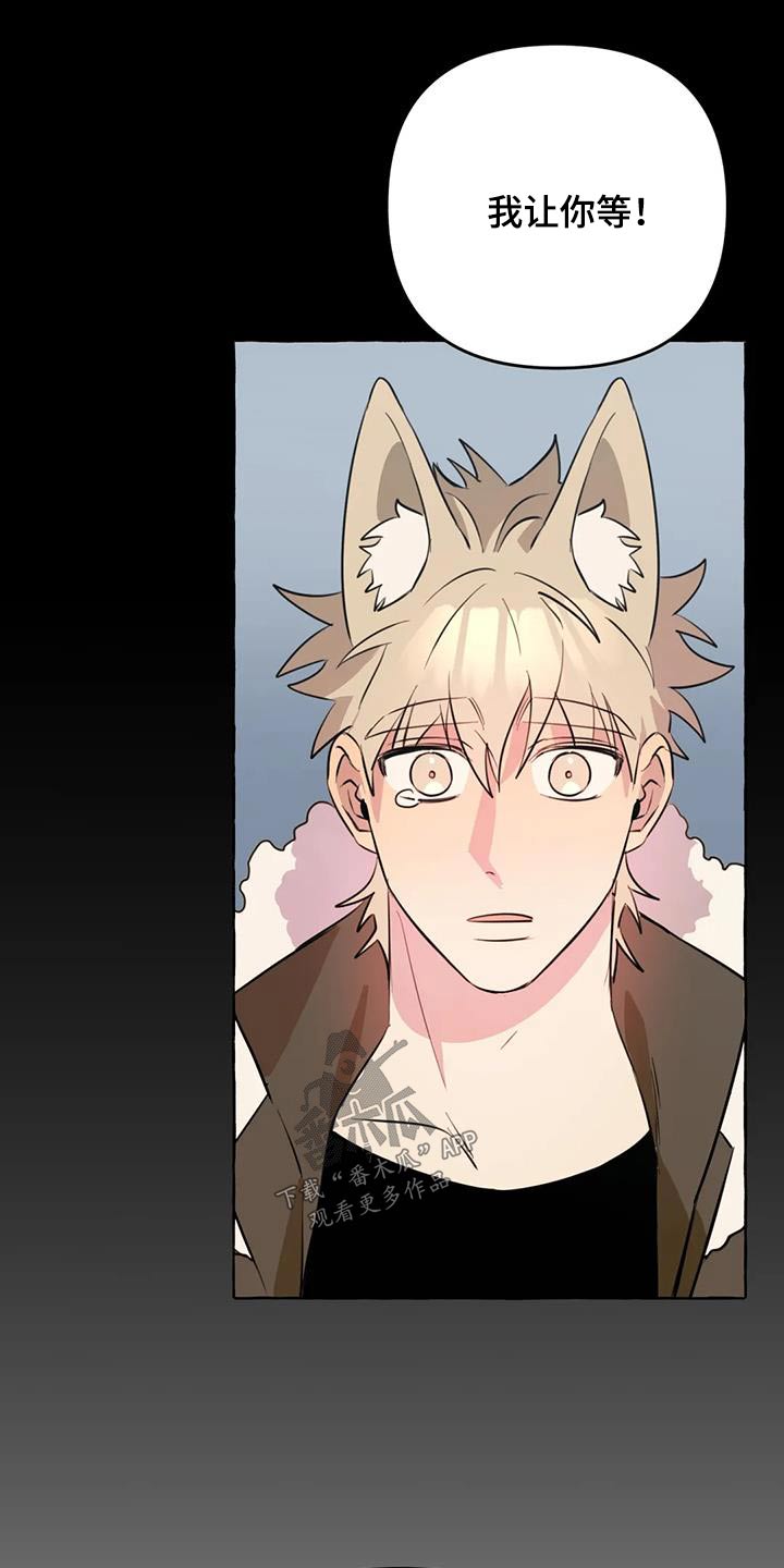《忠犬三三》第62章【第二季】不喜欢我 第10页