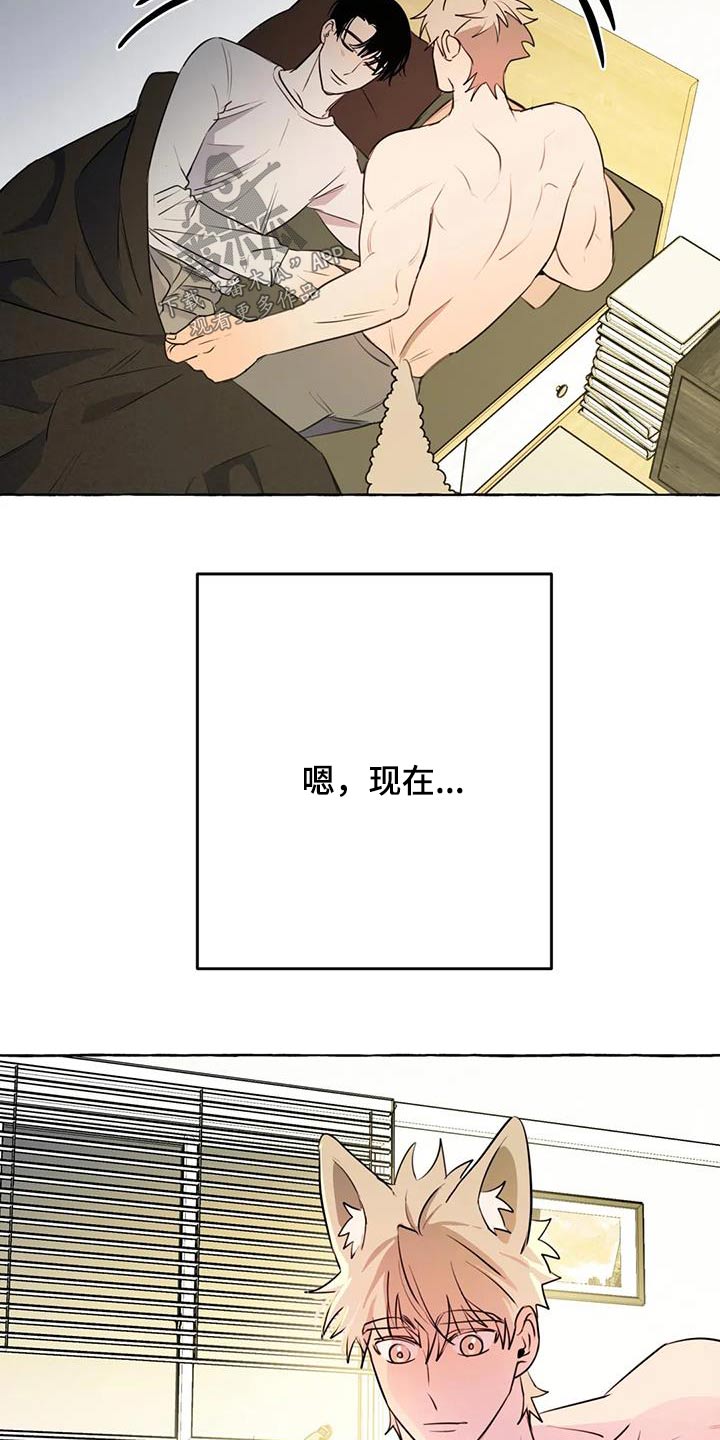 《忠犬三三》第62章【第二季】不喜欢我 第14页