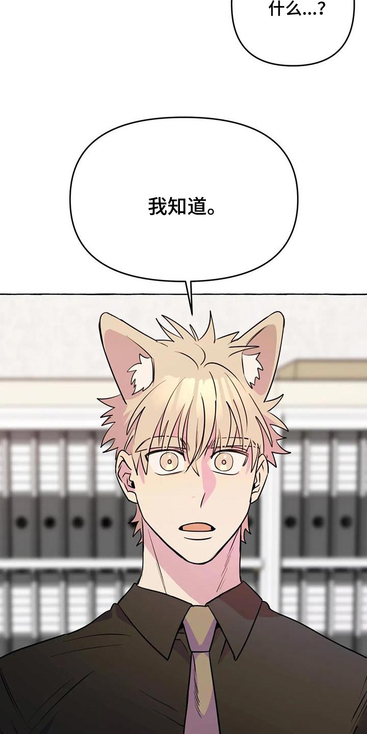 《忠犬三三》第66章【第二季】打闹一场 第19页