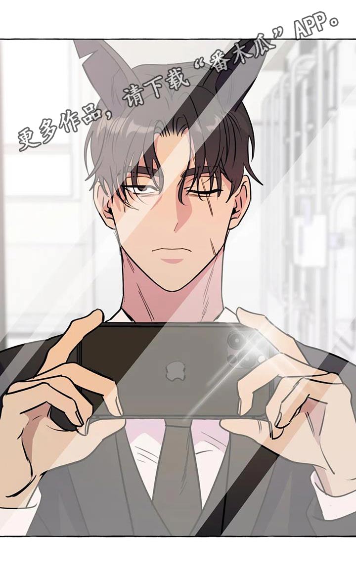 《忠犬三三》第66章【第二季】打闹一场 第33页