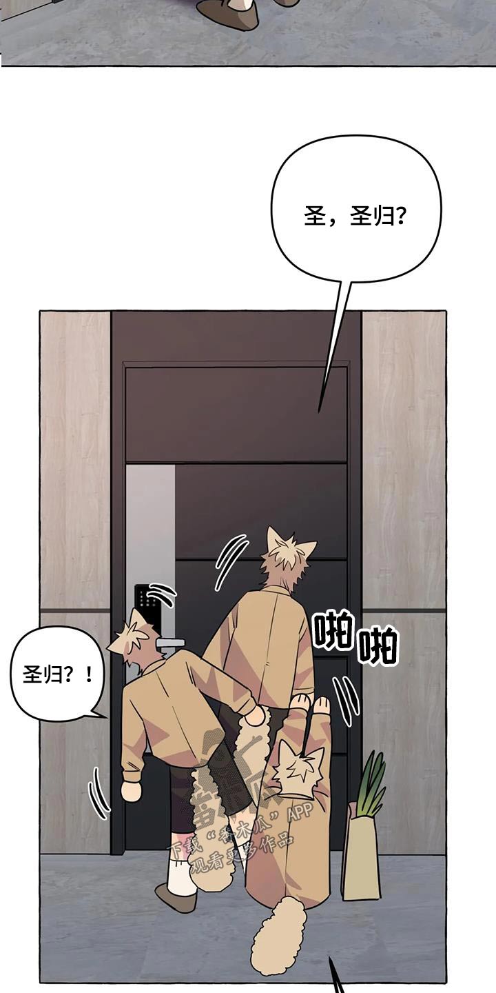 《忠犬三三》第68章【第二季】欢迎 第17页