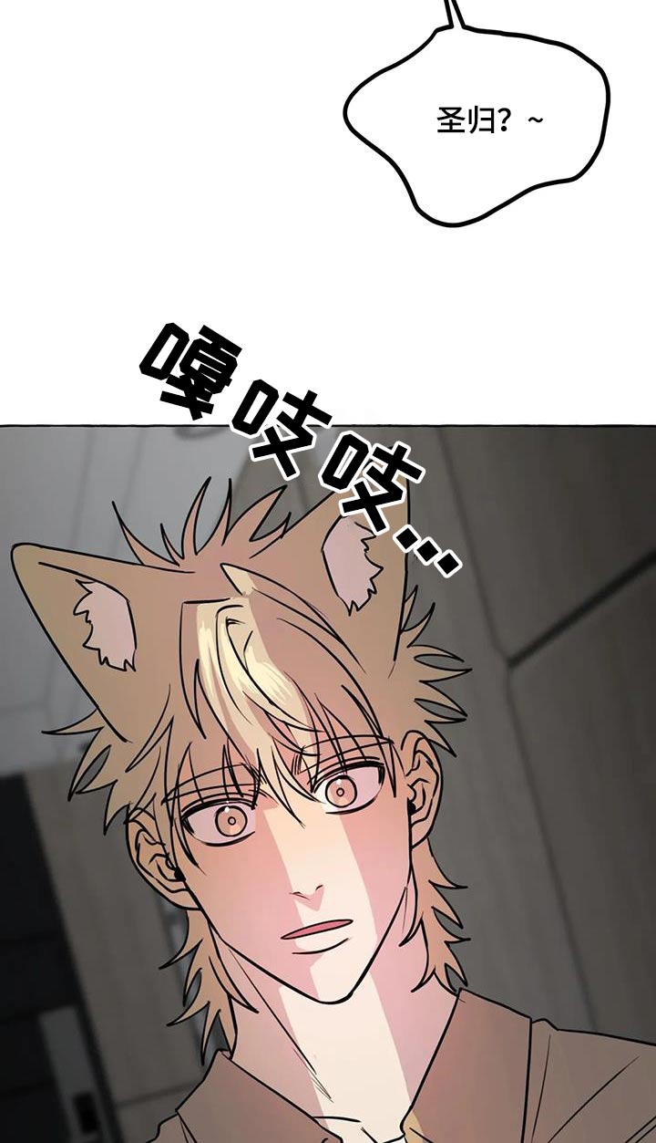 《忠犬三三》第68章【第二季】欢迎 第18页