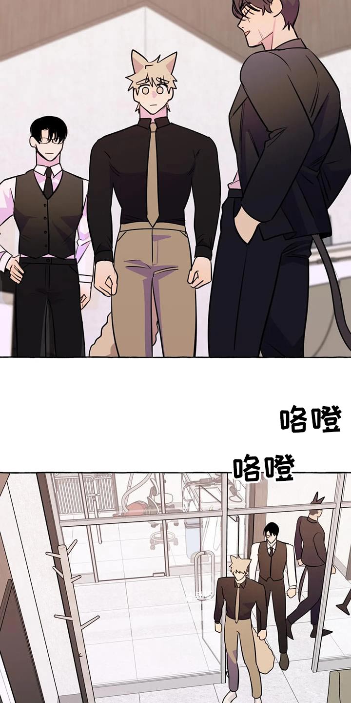 《忠犬三三》第67章【第二季】拍摄 第15页