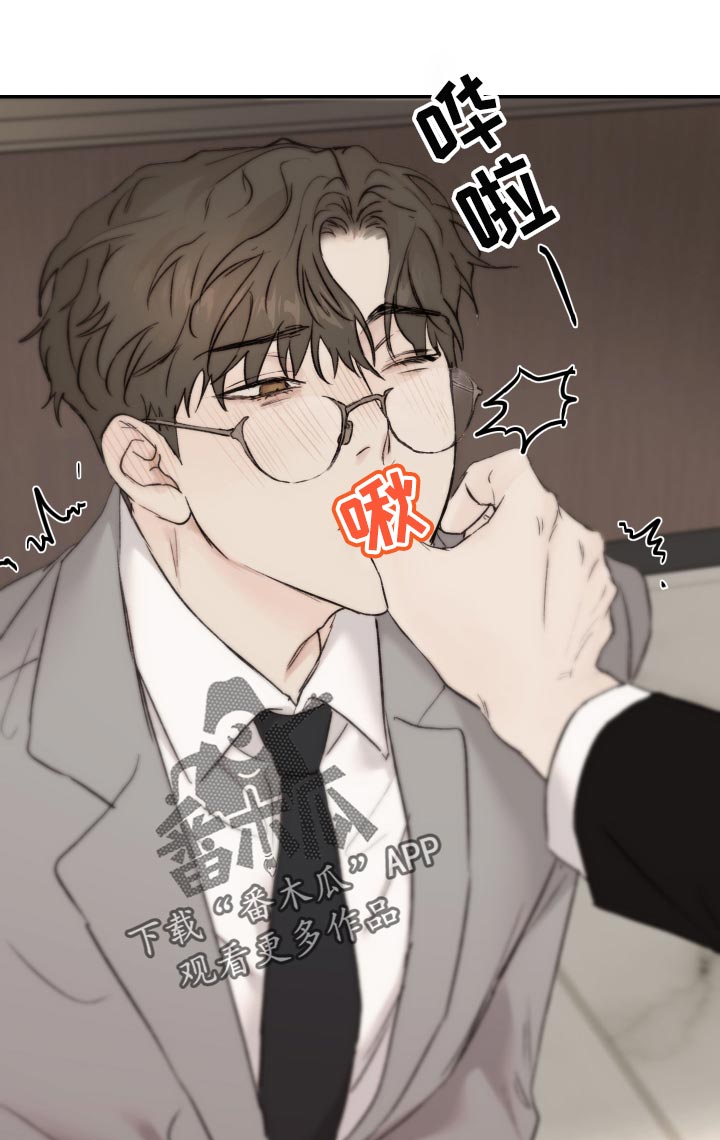《我的魔鬼老板》第55章擦脸 第13页