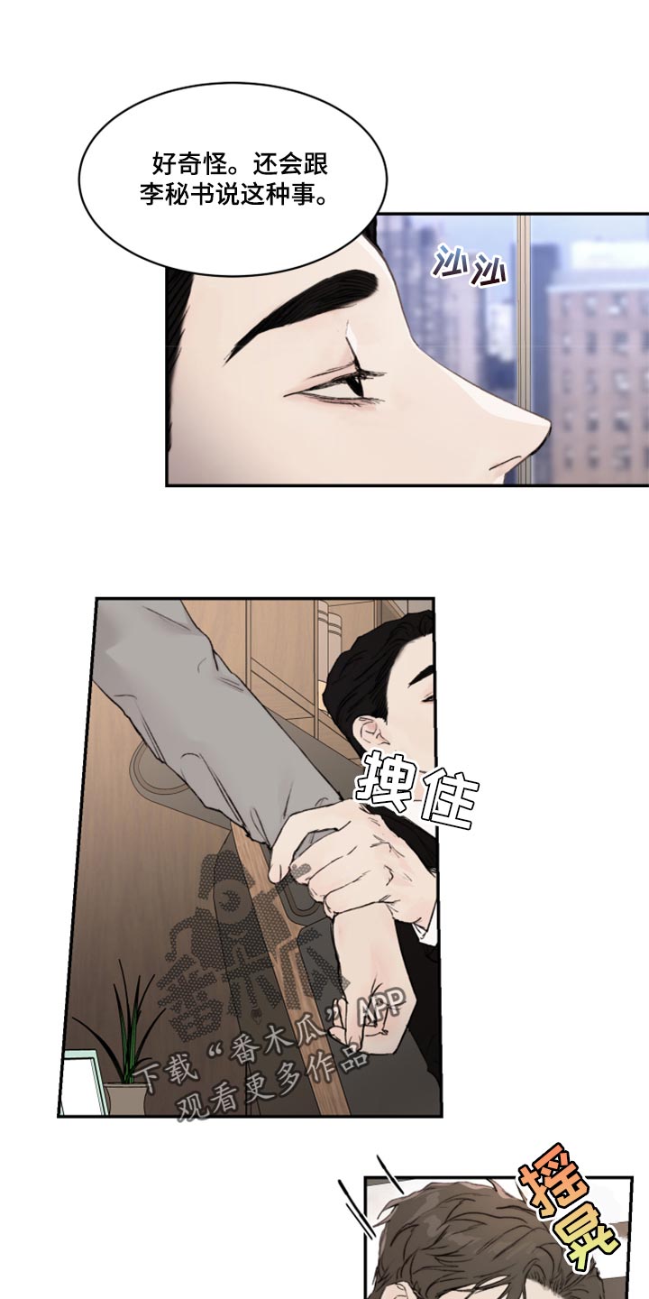 《我的魔鬼老板》第54章我跟他一样是疯子 第13页