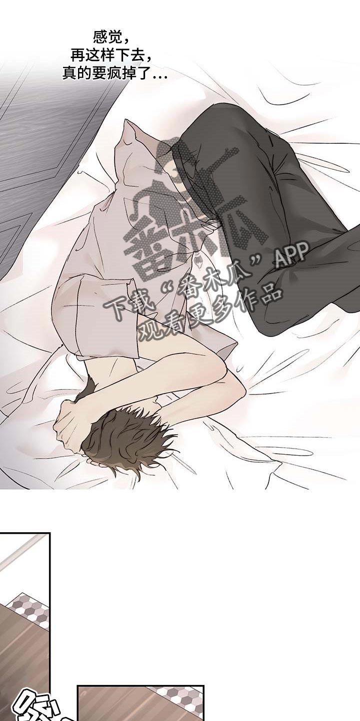 《我的魔鬼老板》第35章期待和不安 第16页